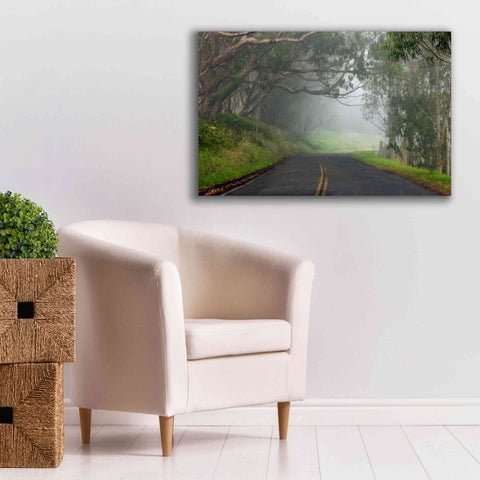 Image of 'Foggy Road near Dillon Beach' by Mike Jones, Giclee Canvas Wall Art,40 x 26