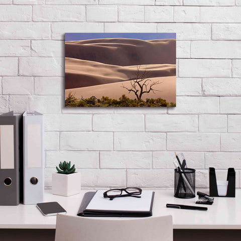 Image of 'Great Sand Dunes NP Tree' by Mike Jones, Giclee Canvas Wall Art,18 x 12