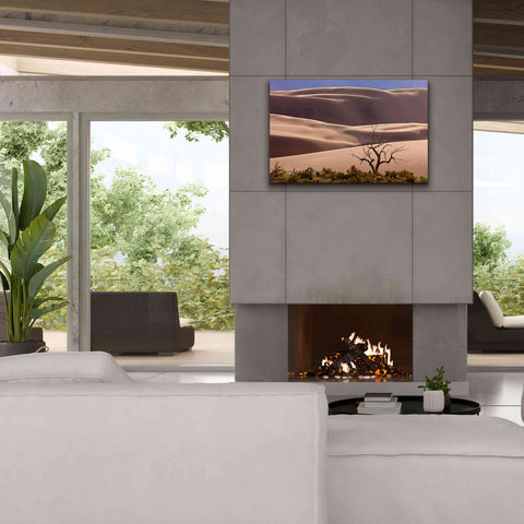 Image of 'Great Sand Dunes NP Tree' by Mike Jones, Giclee Canvas Wall Art,40 x 26