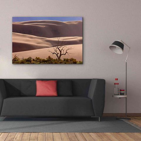 Image of 'Great Sand Dunes NP Tree' by Mike Jones, Giclee Canvas Wall Art,60 x 40