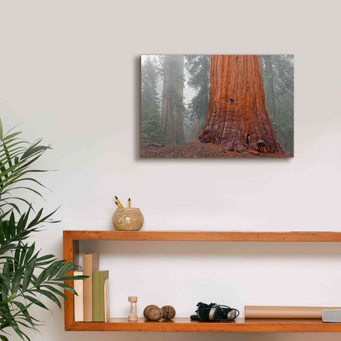 Image of 'Kings Canyon' by Mike Jones, Giclee Canvas Wall Art,18 x 12
