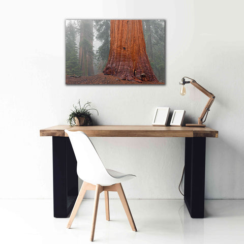 Image of 'Kings Canyon' by Mike Jones, Giclee Canvas Wall Art,40 x 26