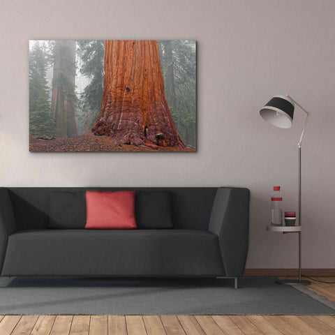 Image of 'Kings Canyon' by Mike Jones, Giclee Canvas Wall Art,60 x 40