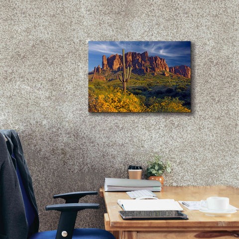 Image of 'Lost Dutchman flowers' by Mike Jones, Giclee Canvas Wall Art,26 x 18