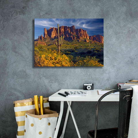 Image of 'Lost Dutchman flowers' by Mike Jones, Giclee Canvas Wall Art,26 x 18