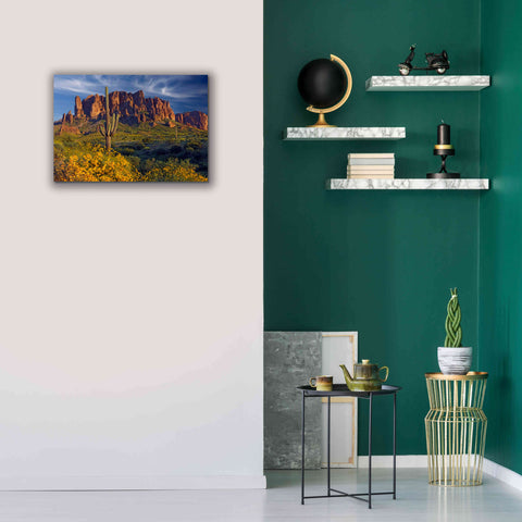 Image of 'Lost Dutchman flowers' by Mike Jones, Giclee Canvas Wall Art,26 x 18