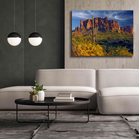 Image of 'Lost Dutchman flowers' by Mike Jones, Giclee Canvas Wall Art,54 x 40