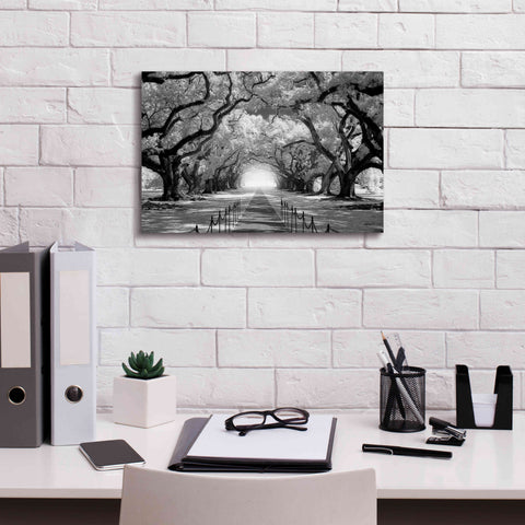 Image of 'Oak Alley inf CHECK' by Mike Jones, Giclee Canvas Wall Art,18 x 12