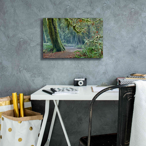 Image of 'Olympic NP Trail' by Mike Jones, Giclee Canvas Wall Art,18 x 12