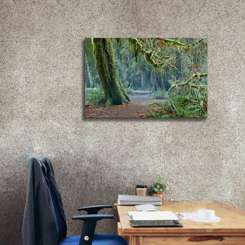 Image of 'Olympic NP Trail' by Mike Jones, Giclee Canvas Wall Art,40 x 26