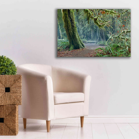Image of 'Olympic NP Trail' by Mike Jones, Giclee Canvas Wall Art,40 x 26