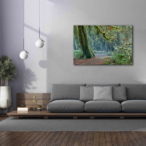 Image of 'Olympic NP Trail' by Mike Jones, Giclee Canvas Wall Art,60 x 40