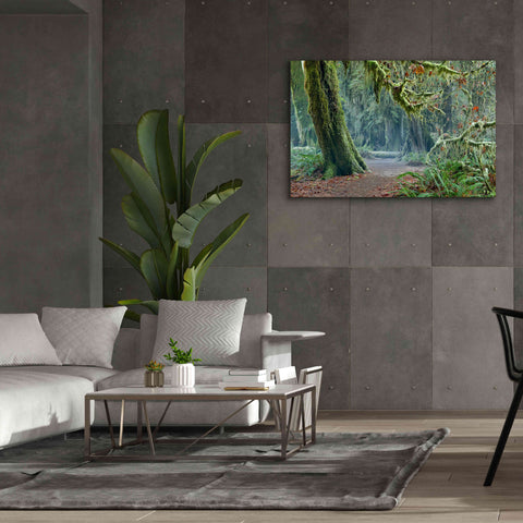 Image of 'Olympic NP Trail' by Mike Jones, Giclee Canvas Wall Art,60 x 40