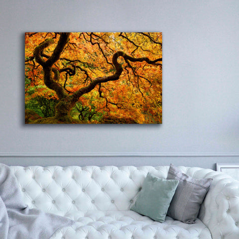 Image of 'Portland Japanese Garden' by Mike Jones, Giclee Canvas Wall Art,60 x 40