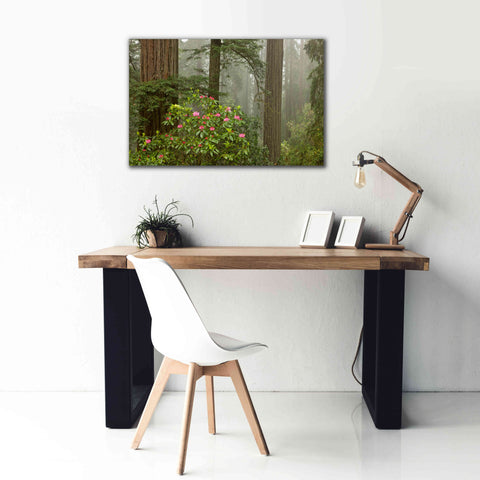 Image of 'Redwood Fog Rhododendrons' by Mike Jones, Giclee Canvas Wall Art,40 x 26