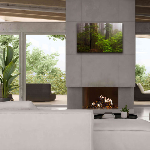 Image of 'Redwoods Fog' by Mike Jones, Giclee Canvas Wall Art,40 x 26
