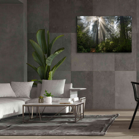 Image of 'Redwoods NP Ladybird Johnson Lightbeams' by Mike Jones, Giclee Canvas Wall Art,60 x 40