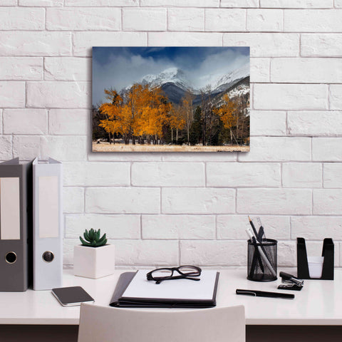 Image of 'RMNP Aspens and Storm Clouds' by Mike Jones, Giclee Canvas Wall Art,18 x 12