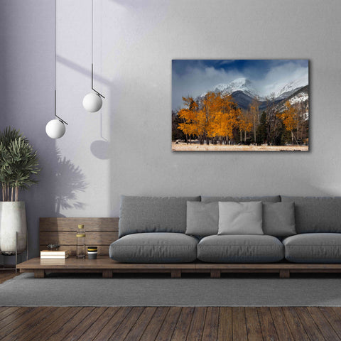 Image of 'RMNP Aspens and Storm Clouds' by Mike Jones, Giclee Canvas Wall Art,60 x 40