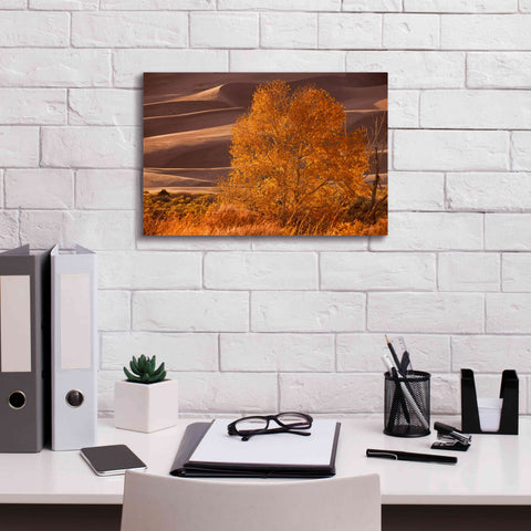 Image of 'Sand Dunes NP' by Mike Jones, Giclee Canvas Wall Art,18 x 12