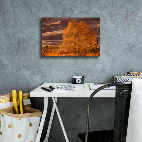 Image of 'Sand Dunes NP' by Mike Jones, Giclee Canvas Wall Art,18 x 12