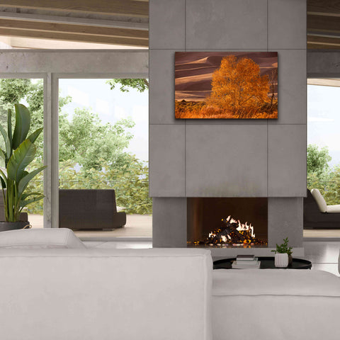 Image of 'Sand Dunes NP' by Mike Jones, Giclee Canvas Wall Art,40 x 26
