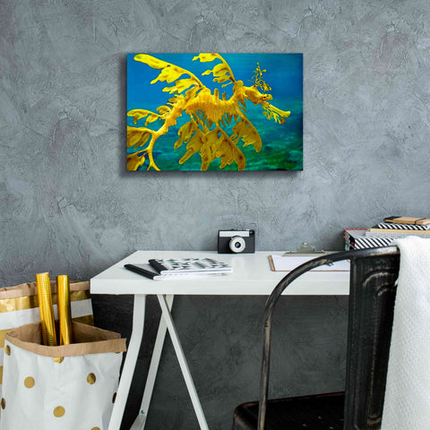 Image of 'Sea Dragon' by Mike Jones, Giclee Canvas Wall Art,18 x 12