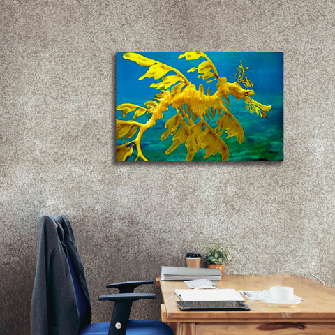 Image of 'Sea Dragon' by Mike Jones, Giclee Canvas Wall Art,40 x 26