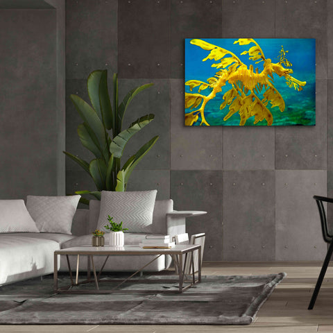 Image of 'Sea Dragon' by Mike Jones, Giclee Canvas Wall Art,60 x 40