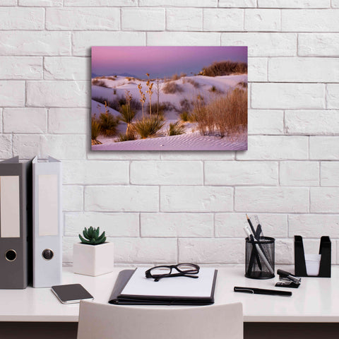 Image of 'White Sands Dusk' by Mike Jones, Giclee Canvas Wall Art,18 x 12