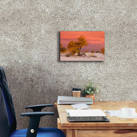 Image of 'White Sands Yellow Tree' by Mike Jones, Giclee Canvas Wall Art,18 x 12