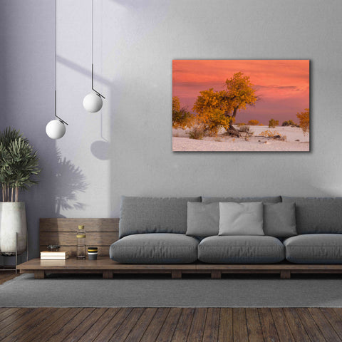 Image of 'White Sands Yellow Tree' by Mike Jones, Giclee Canvas Wall Art,60 x 40