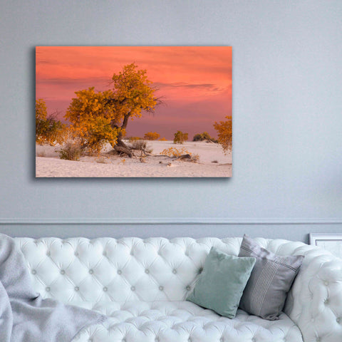 Image of 'White Sands Yellow Tree' by Mike Jones, Giclee Canvas Wall Art,60 x 40