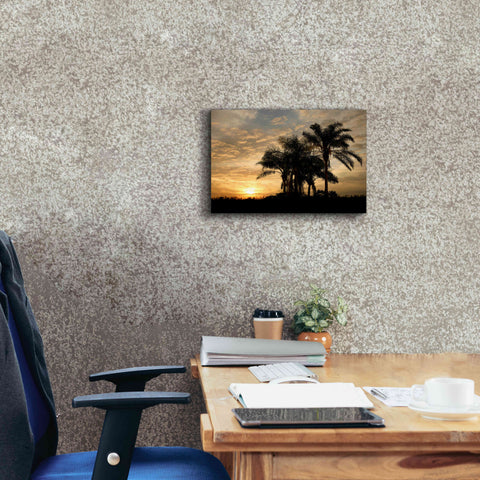 Image of 'Sunrise Experinemt' by Mike Jones, Giclee Canvas Wall Art,18 x 12