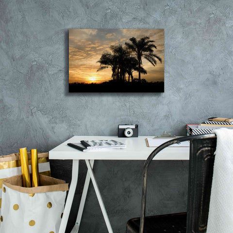 Image of 'Sunrise Experinemt' by Mike Jones, Giclee Canvas Wall Art,18 x 12