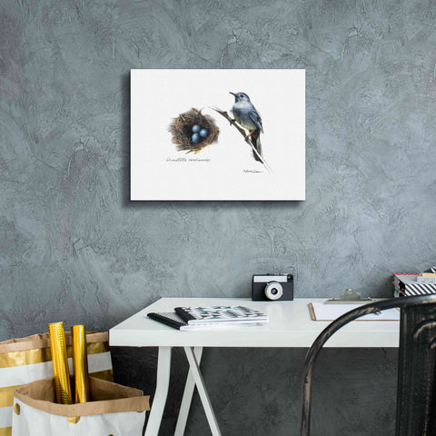 Image of 'Bird & Nest Study II' by Bruce Dean, Giclee Canvas Wall Art,16x12