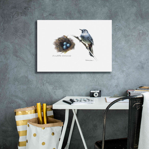 Image of 'Bird & Nest Study II' by Bruce Dean, Giclee Canvas Wall Art,26x18