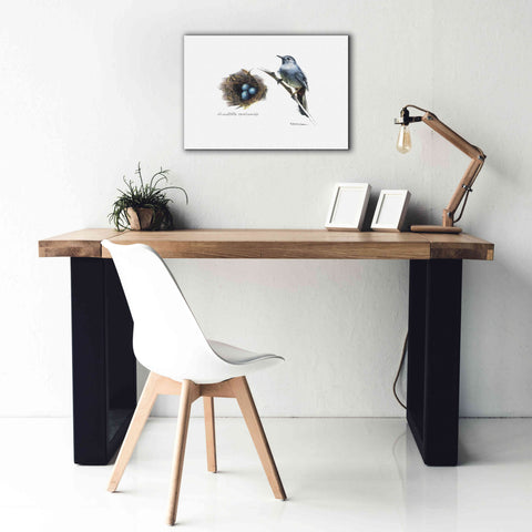 Image of 'Bird & Nest Study II' by Bruce Dean, Giclee Canvas Wall Art,26x18