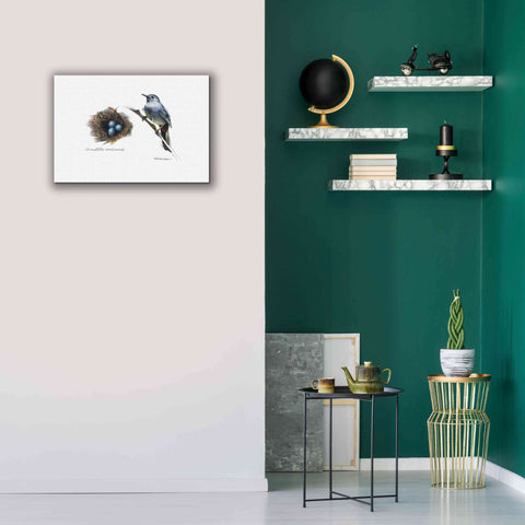 Image of 'Bird & Nest Study II' by Bruce Dean, Giclee Canvas Wall Art,26x18