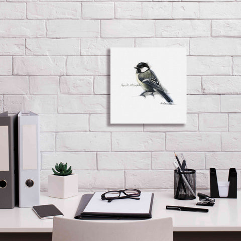 Image of 'Songbird Study II' by Bruce Dean, Giclee Canvas Wall Art,12x12