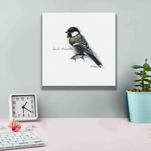 Image of 'Songbird Study II' by Bruce Dean, Giclee Canvas Wall Art,12x12