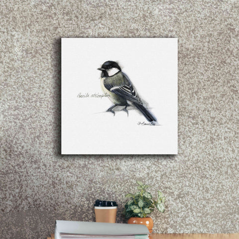 Image of 'Songbird Study II' by Bruce Dean, Giclee Canvas Wall Art,18x18