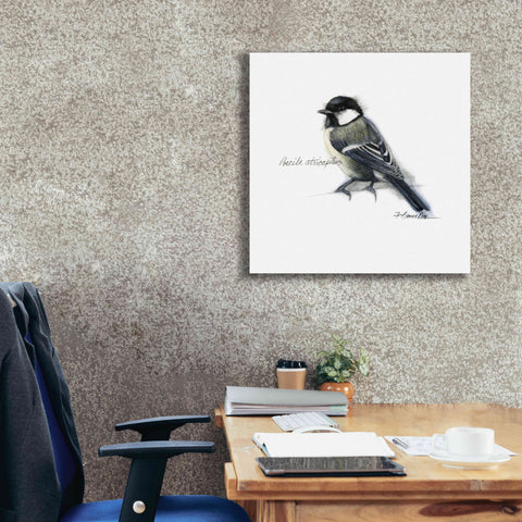 Image of 'Songbird Study II' by Bruce Dean, Giclee Canvas Wall Art,26x26