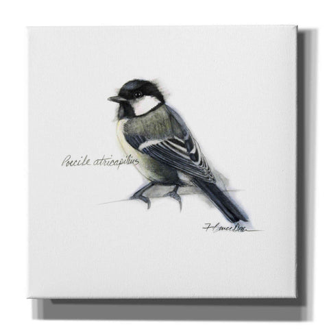 Image of 'Songbird Study II' by Bruce Dean, Giclee Canvas Wall Art