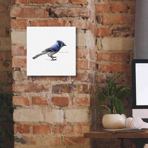 Image of 'Songbird Study III' by Bruce Dean, Giclee Canvas Wall Art,12x12