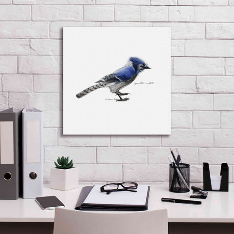 Image of 'Songbird Study III' by Bruce Dean, Giclee Canvas Wall Art,18x18