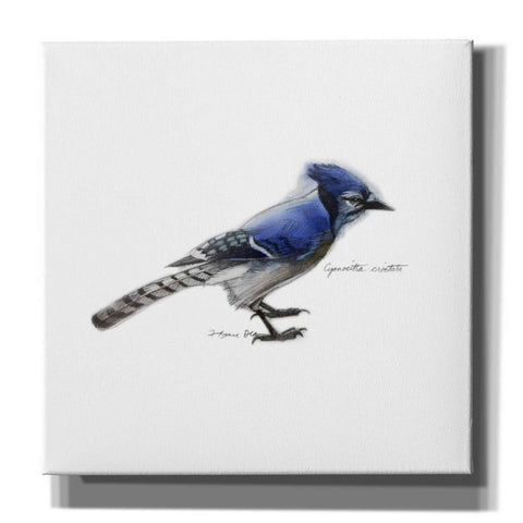 Image of 'Songbird Study III' by Bruce Dean, Giclee Canvas Wall Art