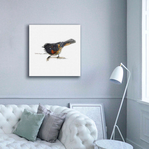 Image of 'Songbird Study IV' by Bruce Dean, Giclee Canvas Wall Art,37x37