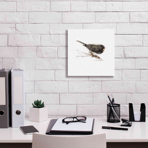 Image of 'Songbird Study V' by Bruce Dean, Giclee Canvas Wall Art,12x12