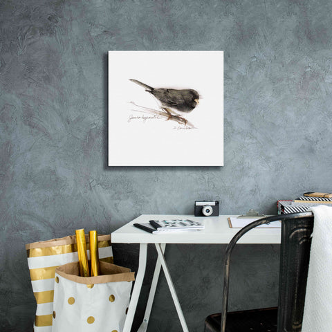 Image of 'Songbird Study V' by Bruce Dean, Giclee Canvas Wall Art,18x18